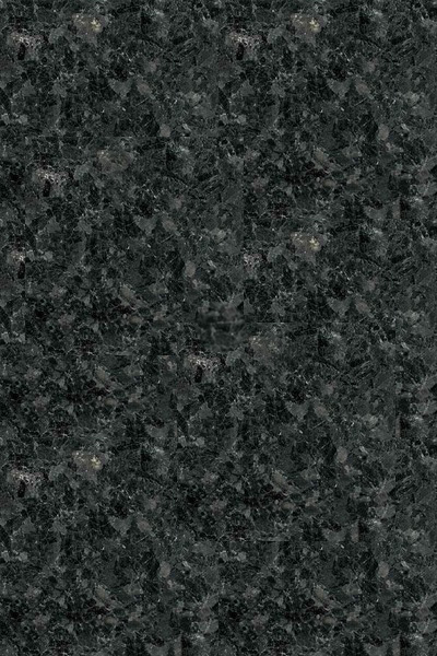 Labrador Black