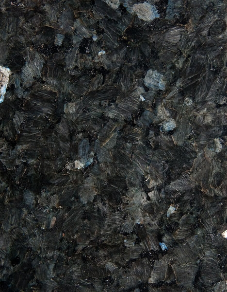 Mørk labrador