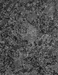 Steel gray